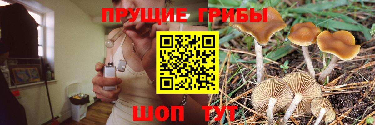 Псилоцибиновые грибы MAGIC MUSHROOMS Коркино