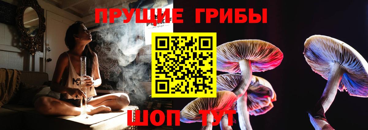 купить наркотики цена  Псилоцибиновые грибы Cubensis  Вход с VPN  Коркино 